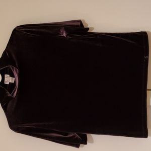 Velvety Dark Brown Short Sleeve Top. Ann Taylor Loft. Large.